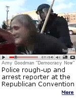 Journalist Amy Goodman of Democracy Now! was arrested, along with two producers of her radio/television show, while covering protests at the Republican Convention in St. Paul.